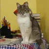 Отзыв от Кира Рогова